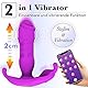 FULUTOY Tragbare Vibratoren für sie Klitoris und G-Punkt mit Stoßfunktion, Schub Vibrator mit Bluetooth Fernsteuerung, weiblicher unsichtbarer Masturbation Vibrator, Panty Vibrator für Frau und Paare