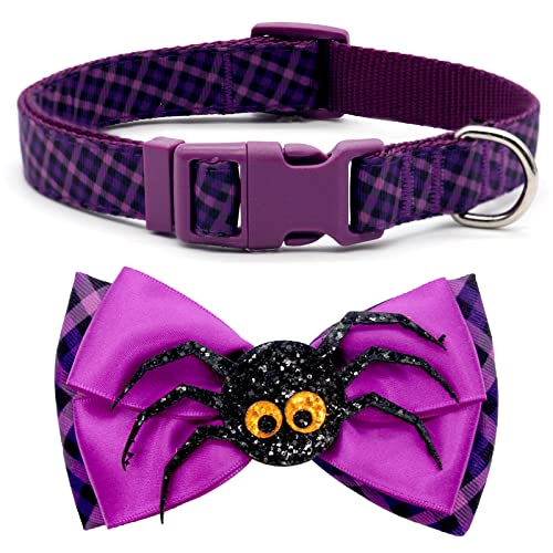 azuza Halloween Dog Collars with Bow Cute Sequined Spider Purple Dog Collar with Lace Bow tie Gifts on Halloween for Small Dogs