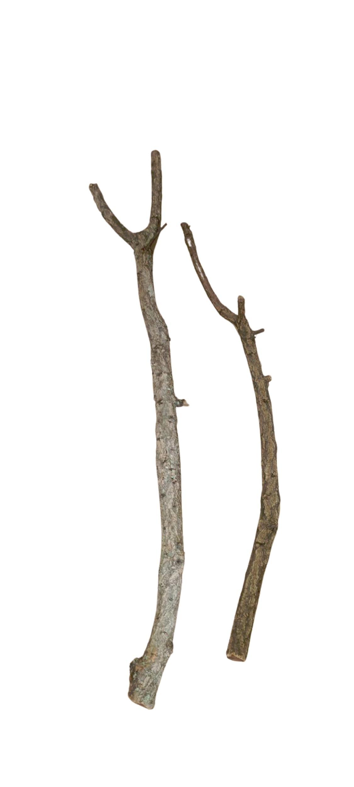 Generisch 2 Kork Äste 80-90 cm lang | Durchmesser ca. 3-5 cm, AST von der Korkeiche | Naturkork-Rinde für Terrarium | Jeder AST EIN Unikat! Made in Portugal