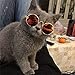 2pcs Random Color Small Cat Kitten Glasses Pet Glasses Dog Sunglasses Pet Supplies Kittens Pet Sunglasses 3 cm/1.1 Inch Cosplay Costume Photos Props