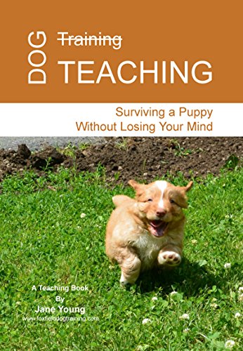 Dog Teaching: Surviving a Puppy Without Losing Your Mind (English Edition)