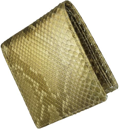 S[h { U[ z Y fB[X { ꖇv o wrv wr  v ֔ {v ܂ 2܂ Zz ~jz RpNg Kt J[h e y  ^ @\ J[h[ J[h U[ g₷