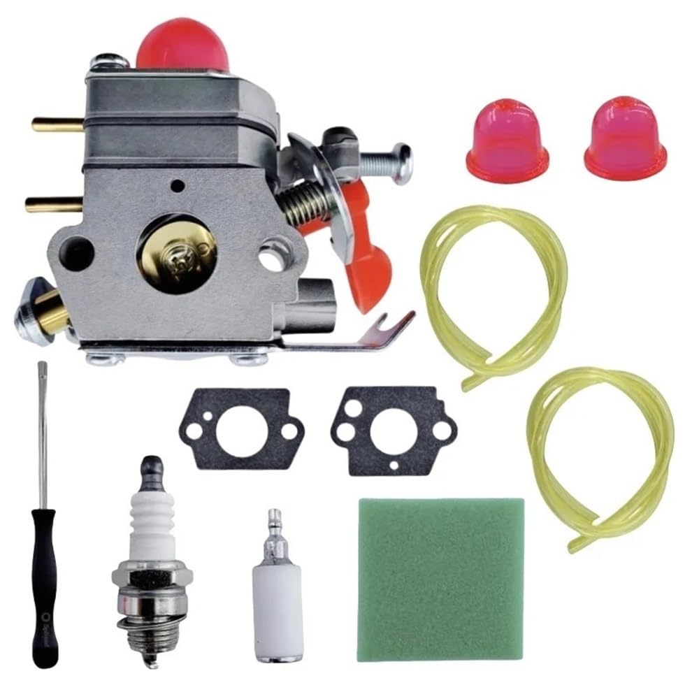 Carburateur PP125 C1U-W19 pour entretenir les bordures de jardin