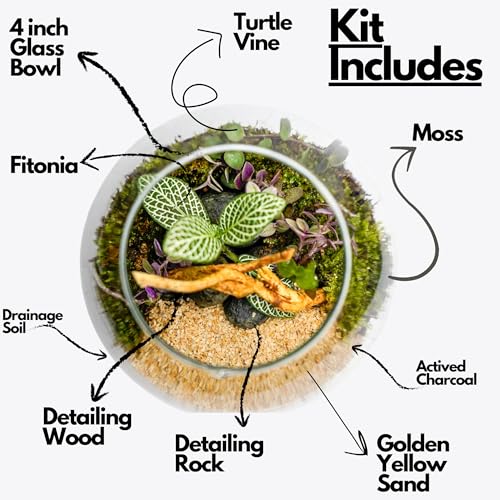 Image of Terrarium Kit with Live Moss & Plants | Glass Container with Acrylic Lid, Sand, Premium Soil Mix | Easy-to-Maintain Mini Indoor Garden for Home, Office & Desk | Eco-Friendly Decor