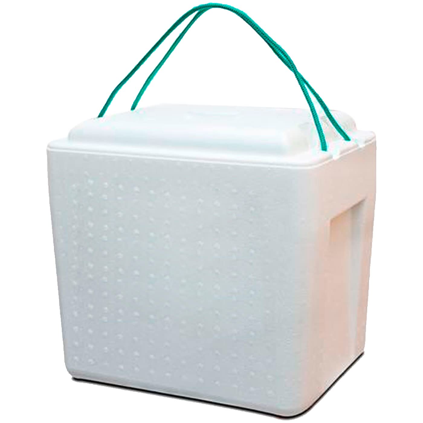 AC - Nevera portatil con asa, Fabricado en Polipropileno Resistente, Ideal para Playa o acampadas, Porta Alimentos.