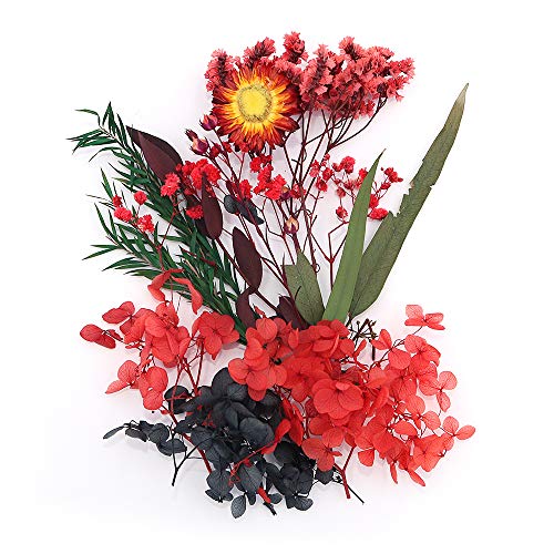 Shiwaki Fleurs Artificielles Simulation Fleurs Bo?Te Conservée Fleur Séchée Plante Bricolage Bougie Résine Fabrication De Bijoux Artisanat Décor Douche Décorations pour La Maison - Rouge Vif