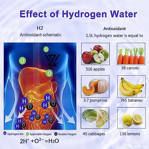 HomEnjoy Hydrogen Water Generator Bottle, SPE & PEM Technology, 14OZ Portable Rechargeable Hydrogen Water Ionizer Machine, for Home Office Gift Travel Fitness Daily Drinking - Image 6