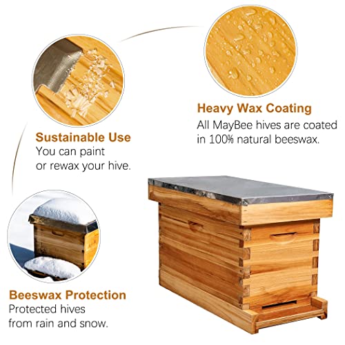 Maybee 5-FRAME Nuc Beehive For Bees Complete Bee Hive Box Kit thumb #2