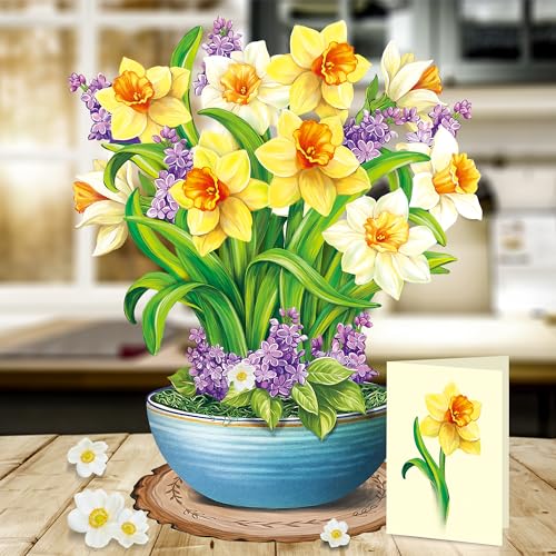 Airpark DAFFODILS01 Pop Up Flower Cards, Elegant Daffodils thumb #3