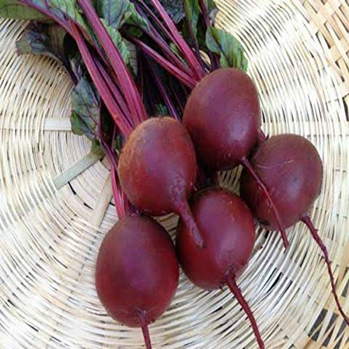 PlantaZee Nurseryserve Organic Desi Beet Root Seeds - (35 Seeds) (B084HG2CSM) Amazon Price History, Amazon Price Tracker