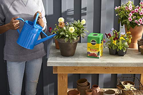 Image of Miracle-Gro All Purpose Plant Food Plant Fertilizer (6 Pack), 3 lb