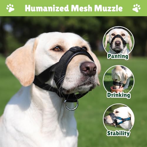Maulkorb Mittlere/für Große Hunde,Fressschutz Hund, Verstellbarer Maulkorb aus Leder,Anti-Kau-Mundschutz für Hunde,Einstellbarer Mundumfang (L)