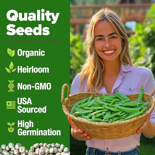 Image of HOME GROWN Organic Cascadia Snap Pea Seeds 100+ Heirloom Non-GMO Seeds for Planting, High Germination, Sweet Edible Pods, Stringless Sugar Snap, Cool Season Garden, Containers (Pisum sativum)