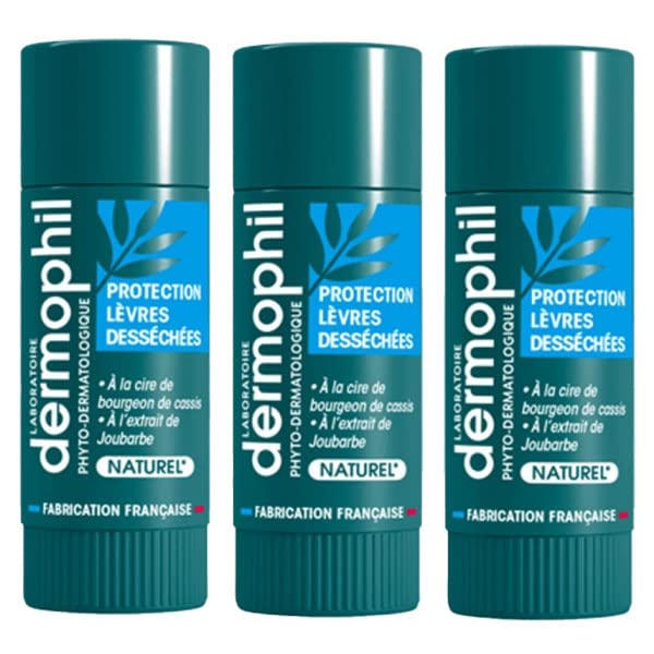 Dermophil Indien Protection Lèvres Desséchées Bio Stick Lot de 2 x 4 g + 1 Offert