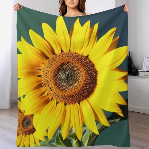 Couverture en flanelle douce de qualité supérieure pour lit douillet - 6