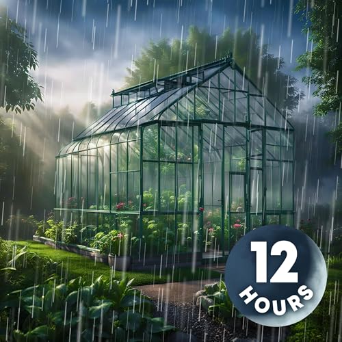 Fan Sounds and Rain Noise = Great Sleep! Podcast Por arte de portada