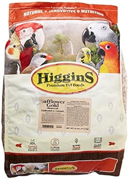 best bird food for golden conures that will amaze your feathered friend 1 best bird food for golden conures