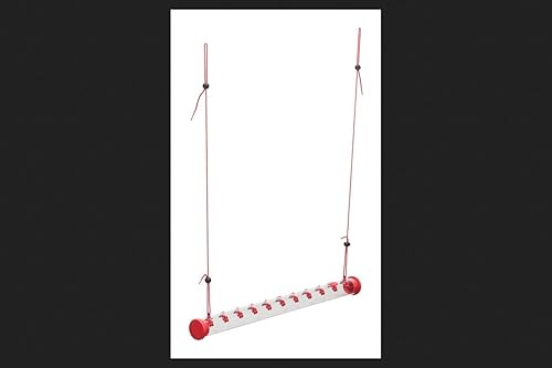 Comedero colgante en forma de barra para colibríes Modelo HUMBAR200DTC Se rellena con néctar 22 puertos de alimentación de la marca Perky-Per Rojo