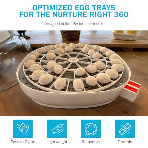 Incubator Warehouse Egg Trays for 48 Small Quail/Bird Eggs - Durable Egg Tray for Nurture Right 360 Egg Incubator - Hand Washable Eggs Keeper for Chicken Goose Turkey Emu by Incubator Warehouse - Image 2