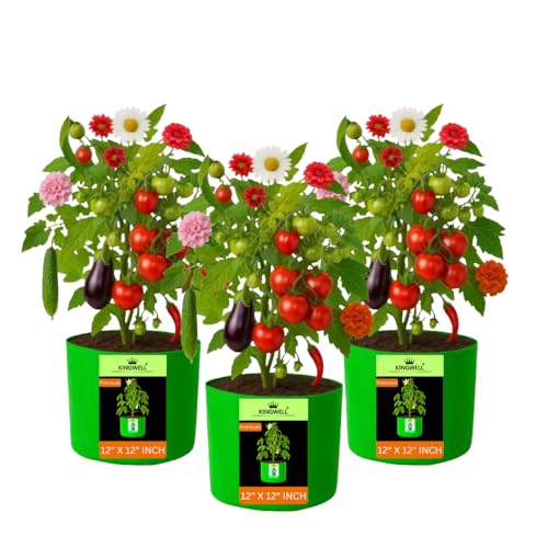Image of Kingwell Plant Grow Bags 12x12 inch pack of 3, Bags for Plants Gardening Home, Grow Bags for Terrace Gardening