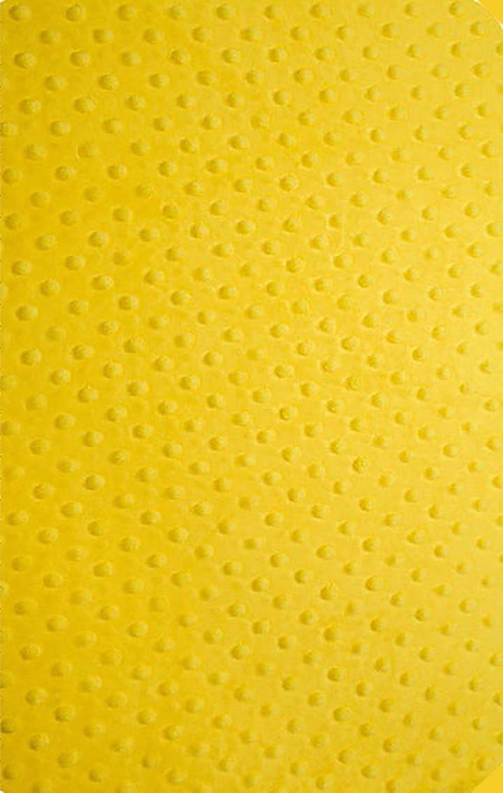 Future Tailgater Iowa Hawkeyes Licensed Minky Blanket Throw (42