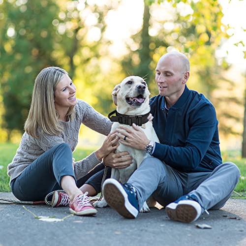 Ledeak Verstellbares Taktisches Hundehalsband mit Steuergriff, Militär-Nylon mit Metallschnalle für mittelgroße und große Hunde (L, Schwarz)