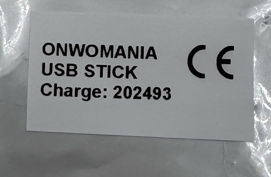 USB Divertido De Osito De Peluche Novia – Memoria USB 2.0 De 64 GB, Diseño Original, Ideal Para Regalo O Para Almacenar Datos
