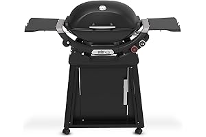Weber Q 1200 Portable Propane Gas Grill: The Perfect Outdoor Cooking Companion