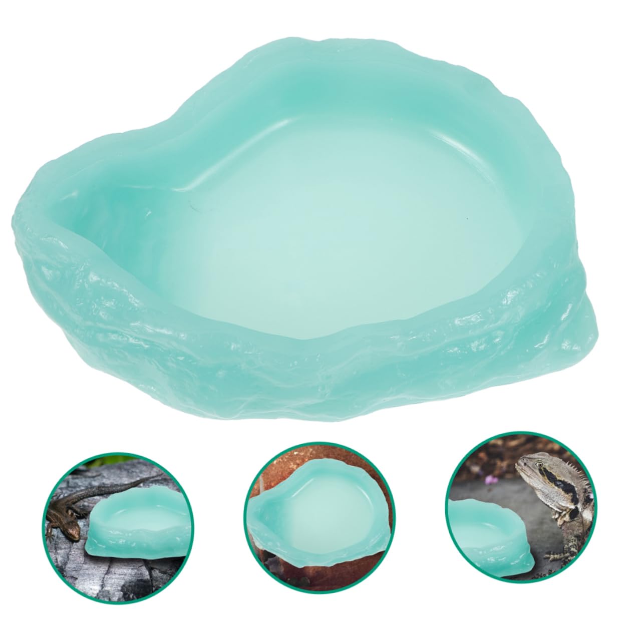 TOYANDONA 2 Ciotole per Rettili Luminescenti Resina per Tartarughe e Lucertole Design Antiscivolo e Resistente per Bevande e Accessori per Terrari