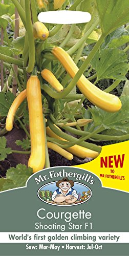Mr Fothergill’s 17469 COURGETTE Shooting Star F1, Green