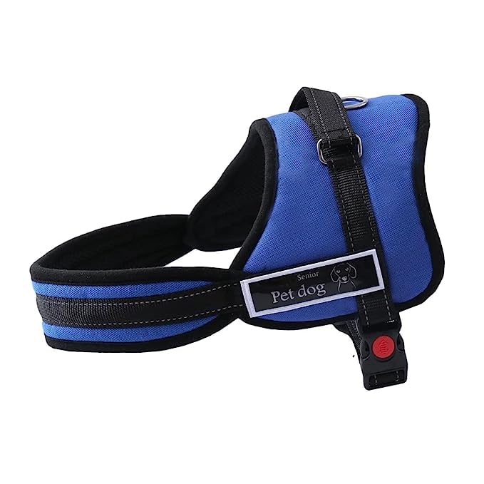 See full amazon price history chart for Toms Pet Mall Dog Non-Pull Nylon Soft Padded Body Vest Harness with Straps, Handle and Adjustable Buckle Chest Belt for Dogs and Puppies - Blue (Large) Toms Pet Mall Dog Non-Pull Nylon Soft Padded Body Vest Harness with Straps, Handle and Adjustable Buckle Chest Belt for Dogs and Puppies - Blue (Large) (B0CBV22Z44) Amazon Price History, Amazon Price Tracker
