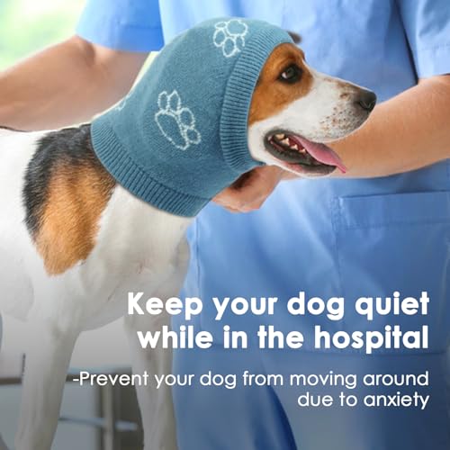Katzinst Hunde Gehörschutz, Elastische Strick Ohrenpflege Hundemütze für Kleine Hunde,Geräuschreduzierung, Angstlinderung,Schütze die Wunde,Spaziergang,Hund Ohrenpflege,Blau,S