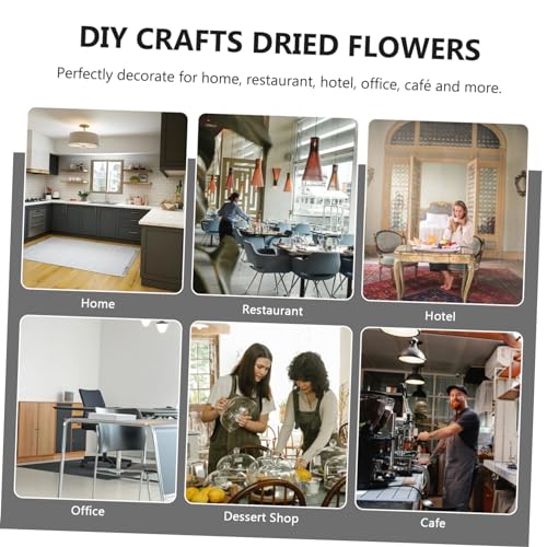 Kit mini flores secas delicadas para manualidades miniatura 6