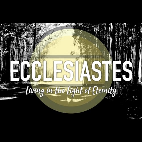 September 28, 2025 - Ecclesiastes 2:1-26