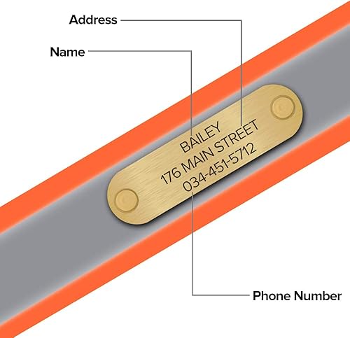 Miniatura 15 de Regal Dog Products Collar de perro reflectante naranja grande con placa de nombre grabada personalizada y anillo central resistente Collares