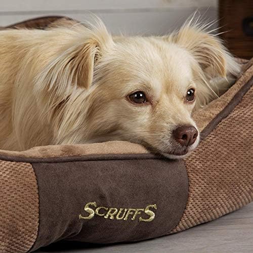 Scruffs Chester Box Bed (L) Chocolate, Brown, 75 x 60 x 18 cm (L x W x H) - Image 4