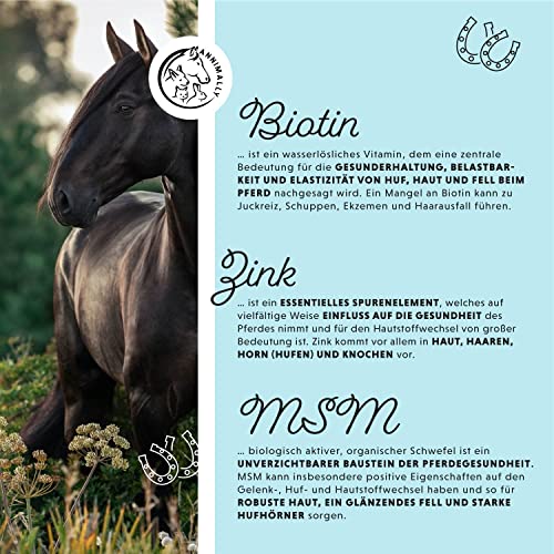 Annimally Pferd Biotin Zink Liquid 1000ml - Pflege für Haut, Haare & Hufe für Pferde - Biotin, Zink und MSM flüssig für EIN gesundes Fell - Fellpflege & Hufpflege für Pferde