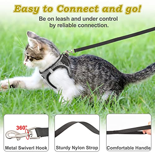 Imbracatura e guinzaglio per gatti a prova di