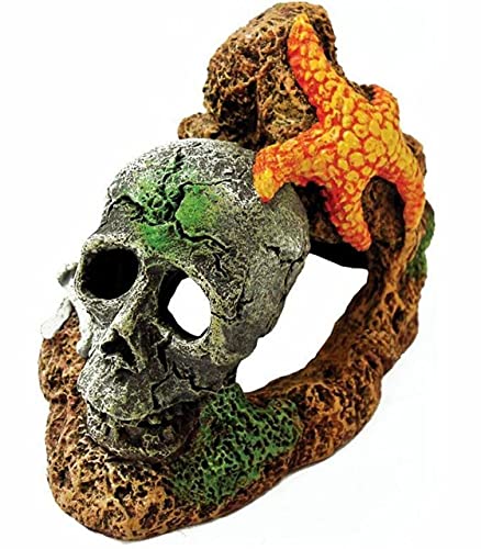 Blue Ribbon Pet Products Resin Ornament - Skull With Starfish