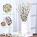 Natural Preserved Dried PussyWillow Branches for Vases, 25 Stems Real Willows, 17