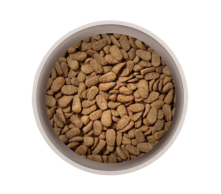 Primox Hunde-Trockenfutter 15kg | hergestellt in DE | Nährstoffreich | Ohne Zucker & andere Zusätze | Für Vitalität & Gesundheit beim Hund (Lamm & Reis)