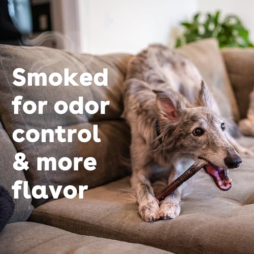 Pupford Bully Sticks for Dogs & Puppies, Teething Chew Toy (6", 4 Count) | Smoked for better smell, Long-lasting mental enrichment, 1 ingredient, Made in the USA, Redirect biting, Small & medium dogs - Image 6