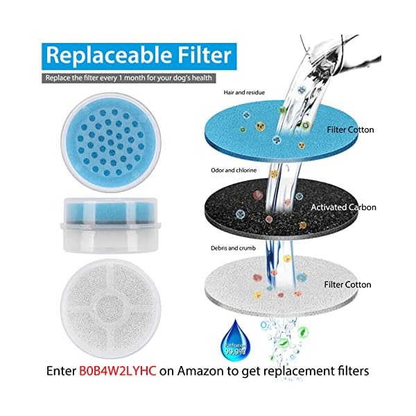 Pet Water Dispenser for Large Dogs