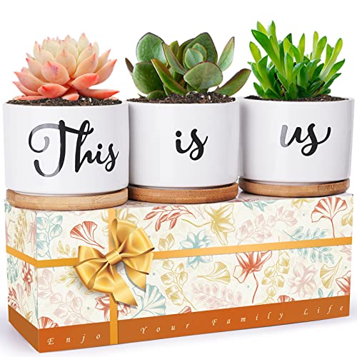 JOFAMY Sukkulententöpfe, Keramik-Blumentöpfe mit Entwässerungslöchern und Untertassen, Einweihungsgeschenkbox, Festival-Übertopf, Geschenk für Mutter, Ehefrau, Oma, Männer und Paare, 3 Stück Cover