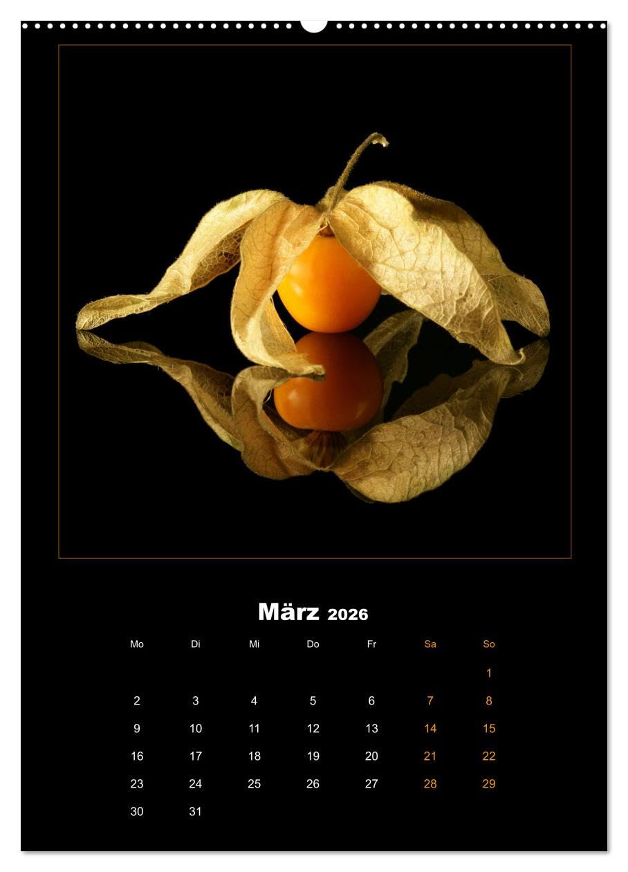 Vegan Food Kalender – Obst und Gemüse auf Schwarz (Wandkalender 2026 DIN A2 hoch), CALVENDO Monatskalender: Dekorativer Kalender für die Küche auf Schwarz. (CALVENDO Lifestyle)