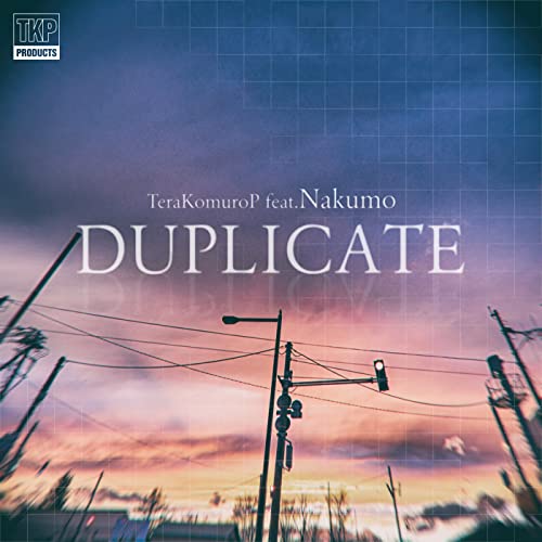  duplicator