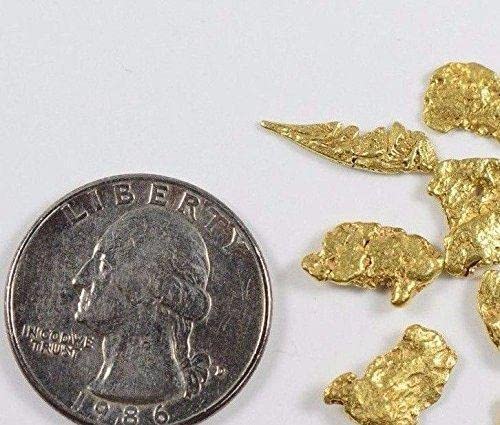 Alaskan-Yukon BC Natural Gold Nugget #4 Mesh 2 Grams