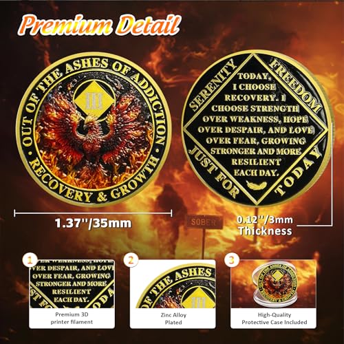 delicate phoenix 3 year na medallions - reborn from fire sobriety coin - three year recovery addiction token - celebrate clean and sober chip - 1-10 prime narcotics anonymous gifts for men women