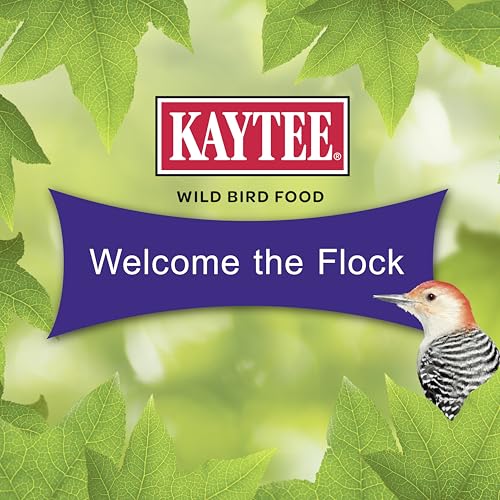Kaytee Woodpecker Seed Cake, Wild Bird Food, 1.85 Pounds, 4 Count - image 6