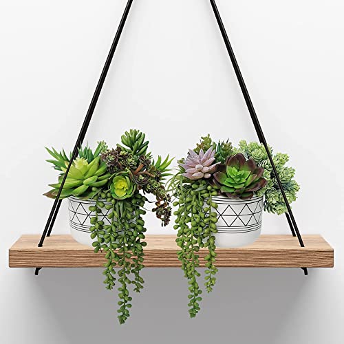 Winlyn 19 Pcs Assorted Artificial Succulents Plants Unpotted Small Green Hanging Succulent Aloe Fake Cacti Succulents Bulk For Succulent Garden Centerpiece Wreath Arrangement Indoor Outdoor Home Decor #TOP7